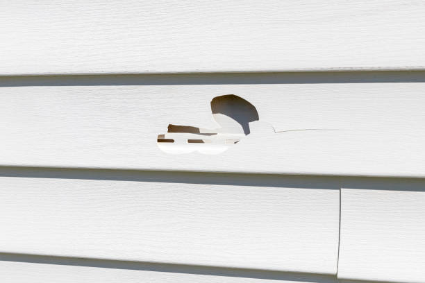 Best Storm Damage Siding Repair  in Calvert, TX